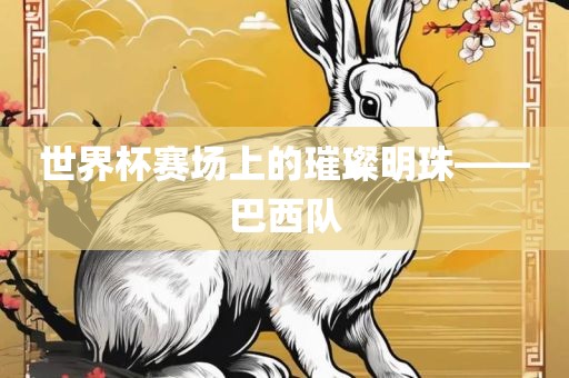 世界杯赛场上的璀璨明珠——巴西队