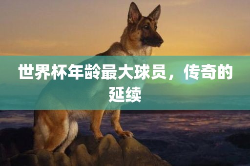 世界杯年龄最大球员，传奇的延续