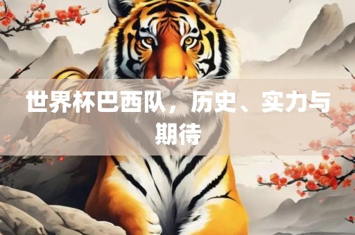 世界杯巴西队，历史、实力与期待