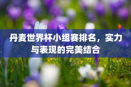 丹麦世界杯小组赛排名，实力与表现的完美结合洪湖市顺升工程机械租赁有限公司