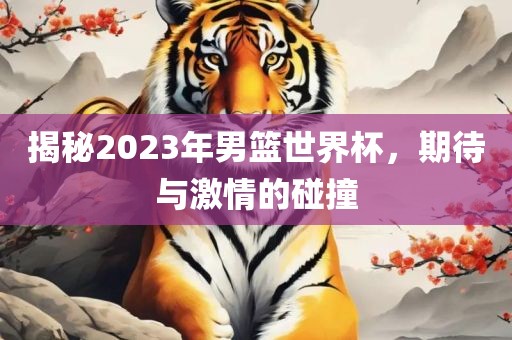 揭秘2023年男篮世界杯，期待与激情的碰撞洪湖市顺升工程机械租赁有限公司