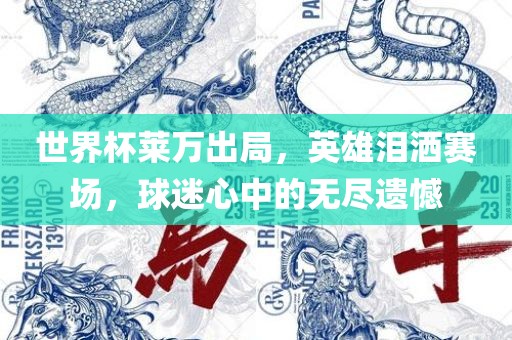 世界杯莱万出局，英雄泪洒赛场，球迷心中的无尽遗憾洪湖市顺升工程机械租赁有限公司