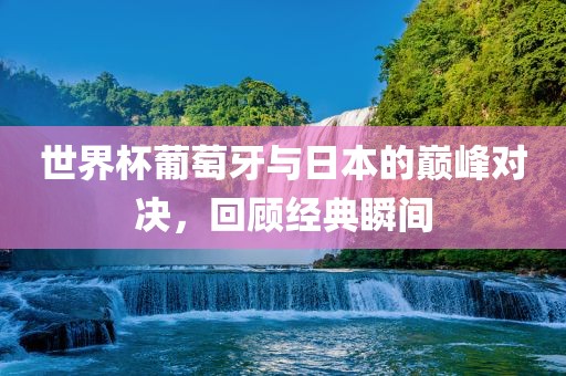 世界杯葡萄牙与日本的巅峰对决，回顾经典瞬间洪湖市顺升工程机械租赁有限公司