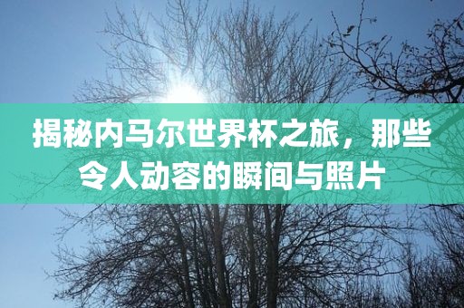 揭秘内马尔世界杯之旅，那些令人动容的瞬间与照片
