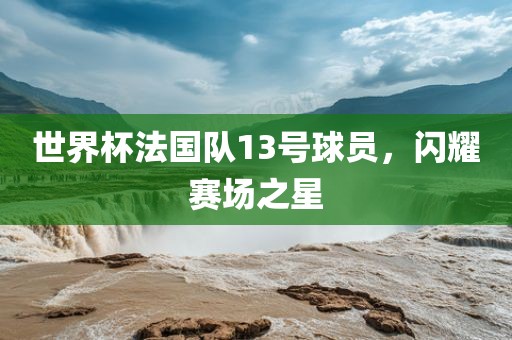 世界杯法国队13号球员，闪耀赛场之星