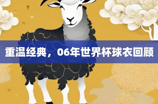 重温经典，06年世界杯球衣回顾洪湖市顺升工程机械租赁有限公司