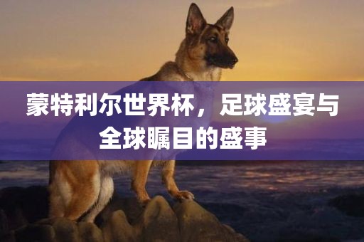 蒙特利尔世界杯，足球盛宴与全洪湖市顺升工程机械租赁有限公司球瞩目的盛事