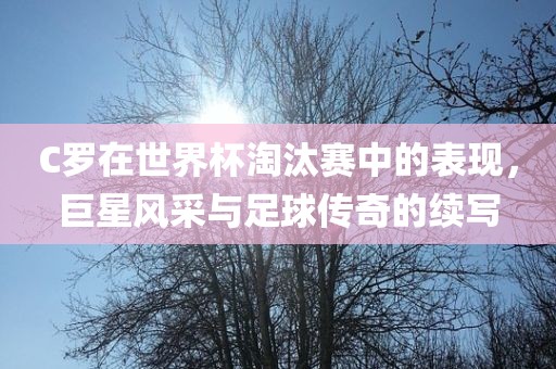C罗在世界杯淘汰赛中的表现，巨星风采与足球传奇的续写洪湖市顺升工程机械租赁有限公司