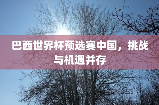 巴西世界杯预选赛中国，挑战与机遇并存