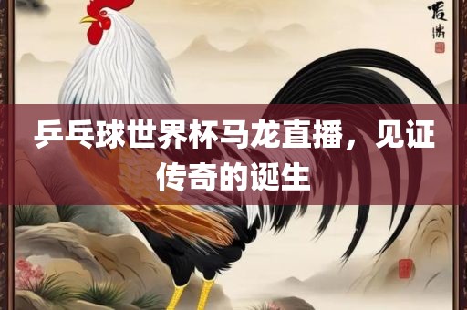 乒乓球世界杯马龙直播，见证传奇的诞生