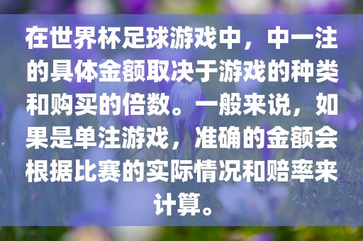 在世界杯足球游戏中，中一注的具体金额取决于游戏的种类和购买的倍数。一般来说，如果是单注游戏，准确的金额会根据比赛洪湖市顺升工程机械租赁有限公司的实际情况和赔率来计算。