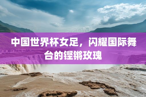 中国世界杯女足，闪洪湖市顺升工程机械租赁有限公司耀国际舞台的铿锵玫瑰