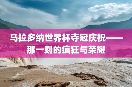 马拉多纳世界杯夺冠洪湖市顺升工程机械租赁有限公司庆祝——那一刻的疯狂与荣耀