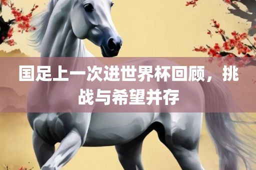 国足上一次洪湖市顺升工程机械租赁有限公司进世界杯回顾，挑战与希望并存