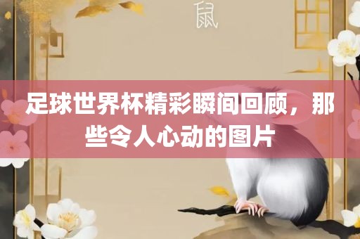 足球世界杯精彩瞬间回顾，那些令人心动的图片