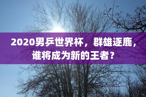 2020男乒世界杯，群雄逐鹿，谁将成为新的王者？