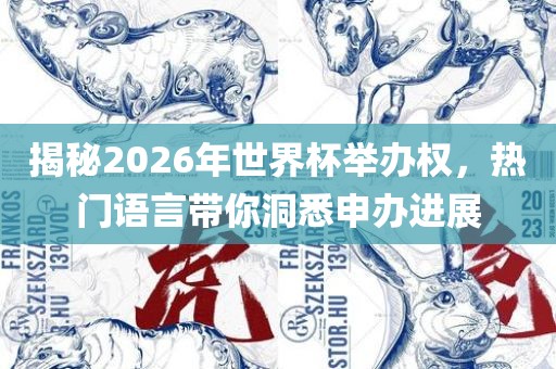 揭秘2026年世界杯举办权，热门语言带你洞悉申办进展洪湖市顺升工程机械租赁有限公司