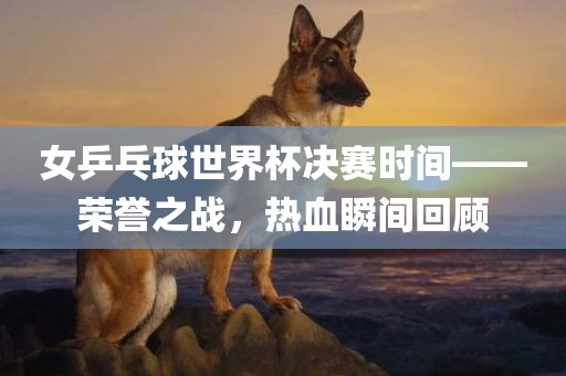 女乒乓球世界杯决赛时间——荣誉之战，热血瞬间回顾洪湖市顺升工程机械租赁有限公司