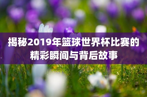 揭秘2019年篮球世界杯比赛的精彩瞬间与背后故事洪湖市顺升工程机械租赁有限公司