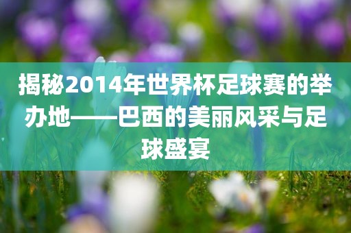 揭秘2014年世界杯足球赛的举办地——巴西的美丽风采与足球盛宴