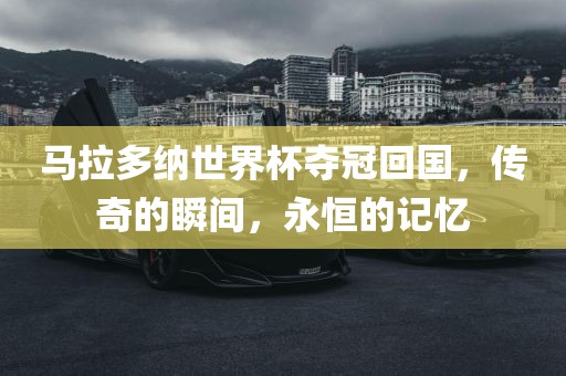 马拉多纳世界杯夺冠回国，传奇的瞬间，永恒的记忆