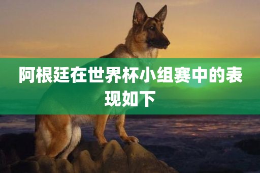 阿根廷在世界杯小组赛中的表现如下