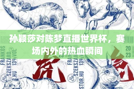 洪湖市顺升工程机械租赁有限公司孙颖莎对陈梦直播世界杯，赛场内外的热血瞬间