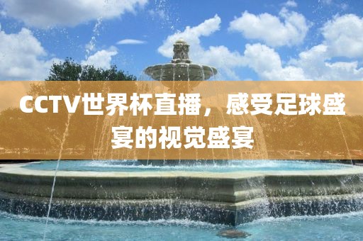 CCTV世界杯直播，感受足球盛宴的视觉盛宴洪湖市顺升工程机械租赁有限公司