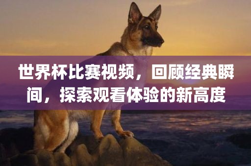 世界杯比赛视频，回顾经典瞬间，探索观看体验的新高度