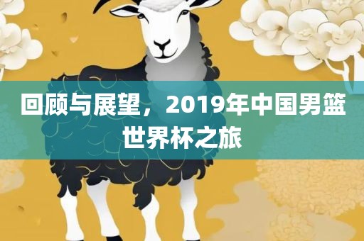回顾与展望，2019年中国男篮世界杯之旅洪湖市顺升工程机械租赁有限公司