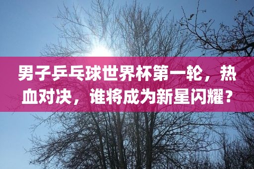 男子乒乓球世界杯第一轮，热血对决，谁将成为新星闪耀？