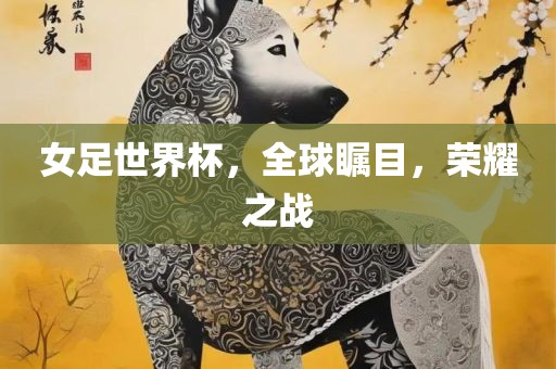 女足世界杯，全球瞩目，荣耀之战洪湖市顺升工程机械租赁有限公司