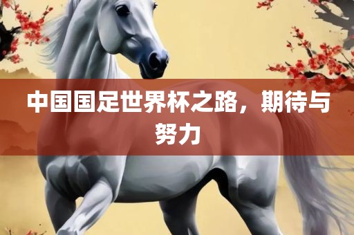 中国国足世界杯之路，期待与努力洪湖市顺升工程机械租赁有限公司