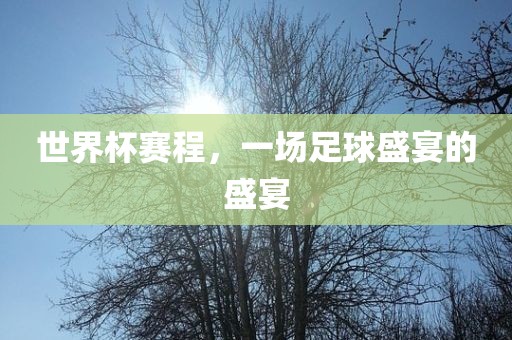 世界杯赛程，一场足球盛宴的盛宴