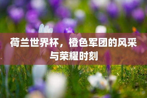 荷兰世界杯，橙色军团的风采与荣耀时刻