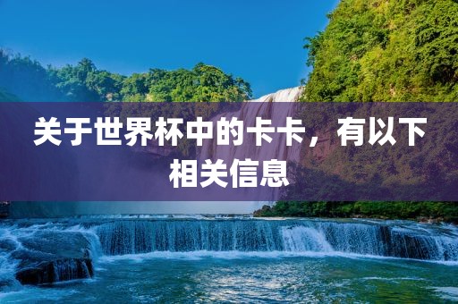 关于世界杯中的卡卡，有以下相关信息