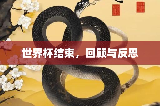 世界杯结束，回顾与反思