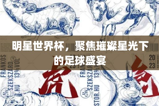 明星世界杯，聚焦璀璨星光下的足球盛宴洪湖市顺升工程机械租赁有限公司