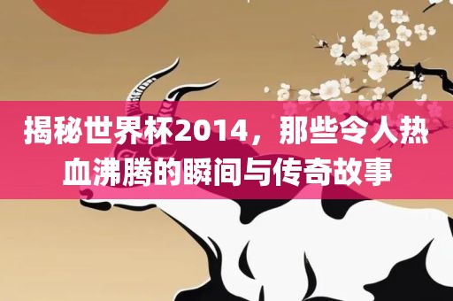 揭秘世界杯2014，那些令人热血沸腾的瞬间与传奇故事洪湖市顺升工程机械租赁有限公司