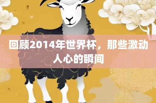 回顾2014年世界杯，那些激动人心的瞬间