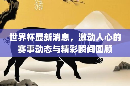 世界杯最新消息，激动人心的赛事动态与精彩瞬间回顾