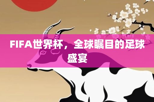 FIFA世界杯，全球瞩目的足球盛宴