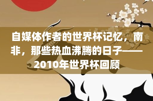 自媒体作者的世界杯记忆，南非，那些热血沸腾的日子——2010年世界杯回顾