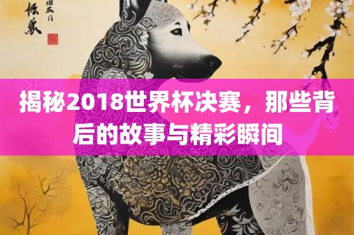 揭秘2018世界杯决赛，那些背后的故事与精彩瞬间