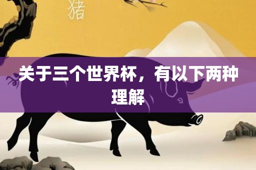 关于三个世界杯，有以下两种理解洪湖市顺升工程机械租赁有限公司