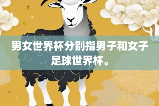 男女世界杯分别指男子和女子足球世界杯。