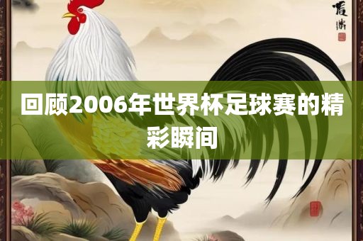 回顾2006年世界杯足球赛的精彩瞬间洪湖市顺升工程机械租赁有限公司