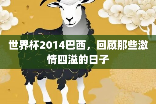 世界杯2014巴西，回顾那些激情四溢的日子
