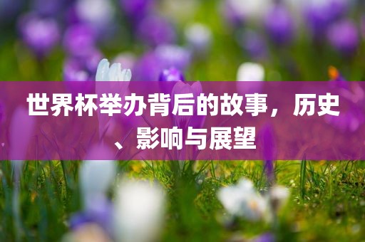 世界杯举办背后的故事，历史、影响与展望洪湖市顺升工程机械租赁有限公司