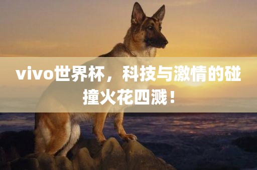 vivo世界杯，科技与激情的碰撞火花四溅！